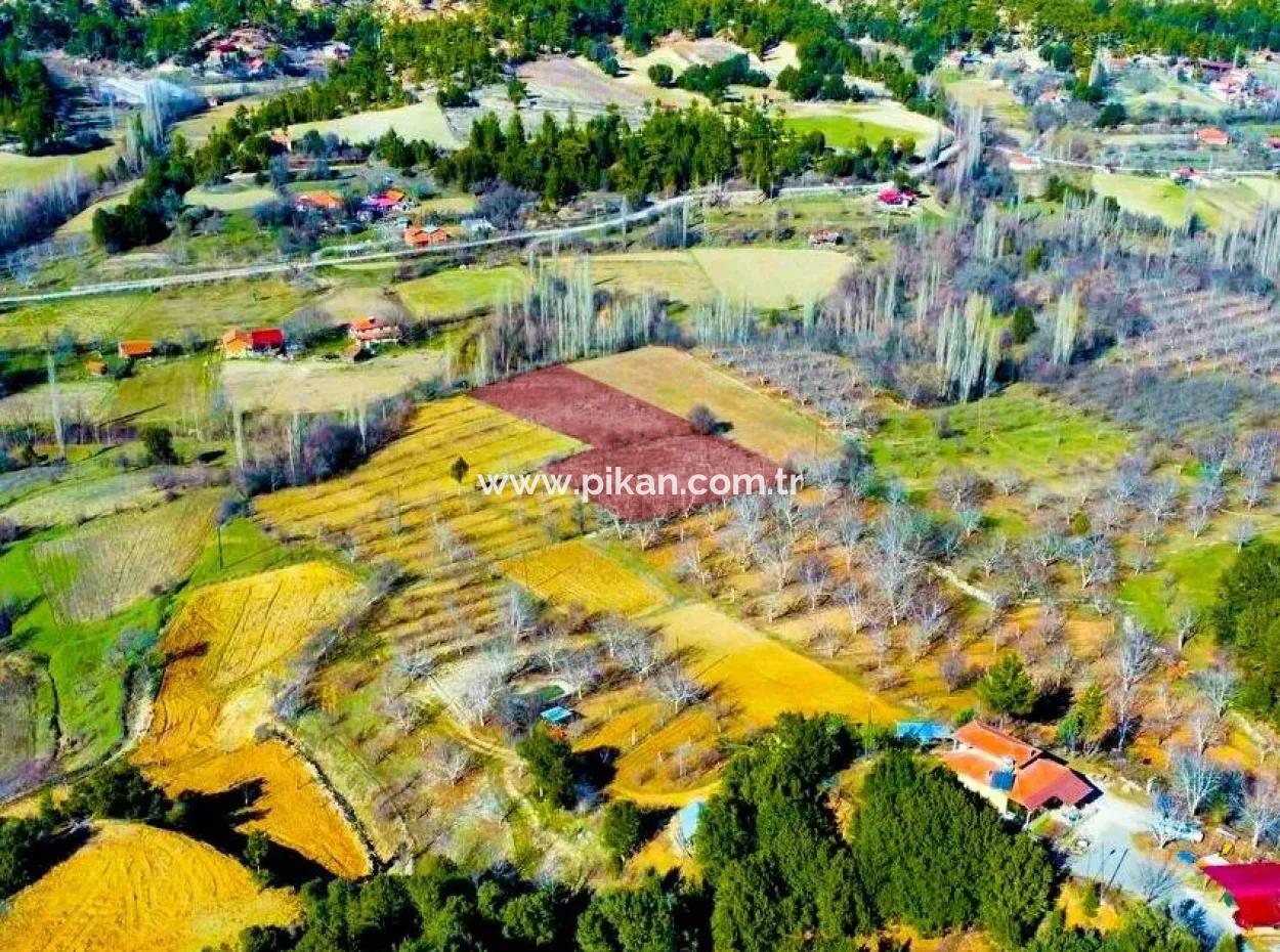 3.278 M² Opportunity Zoned Detached Land For Sale In Denizli Çameli Cevizli