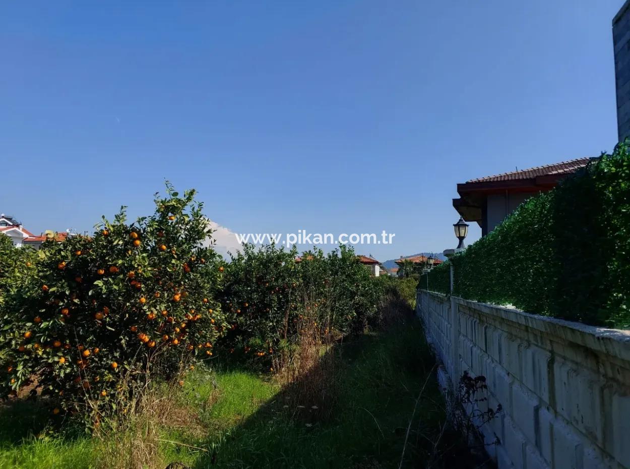722 M2 Zoned Detached Land For Sale In Dalyan, Muğla