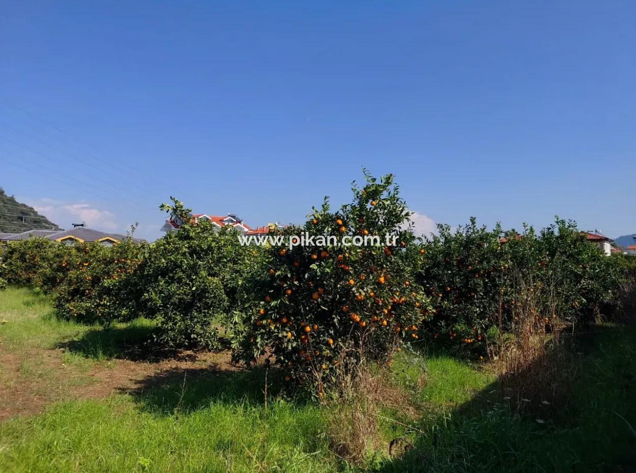 722 M2 Zoned Detached Land For Sale In Dalyan, Muğla