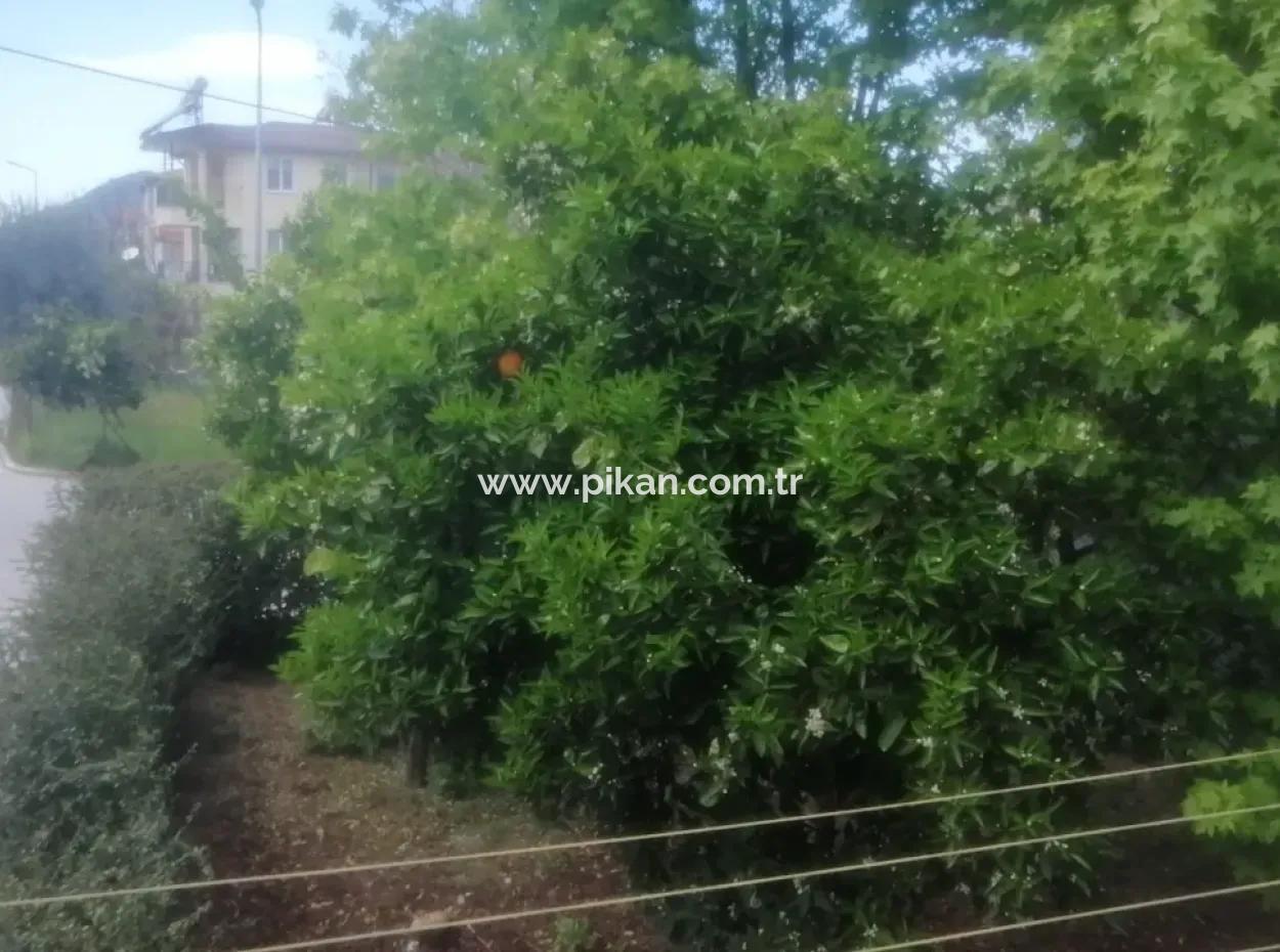 2 1 90 M2 Apartment For Rent