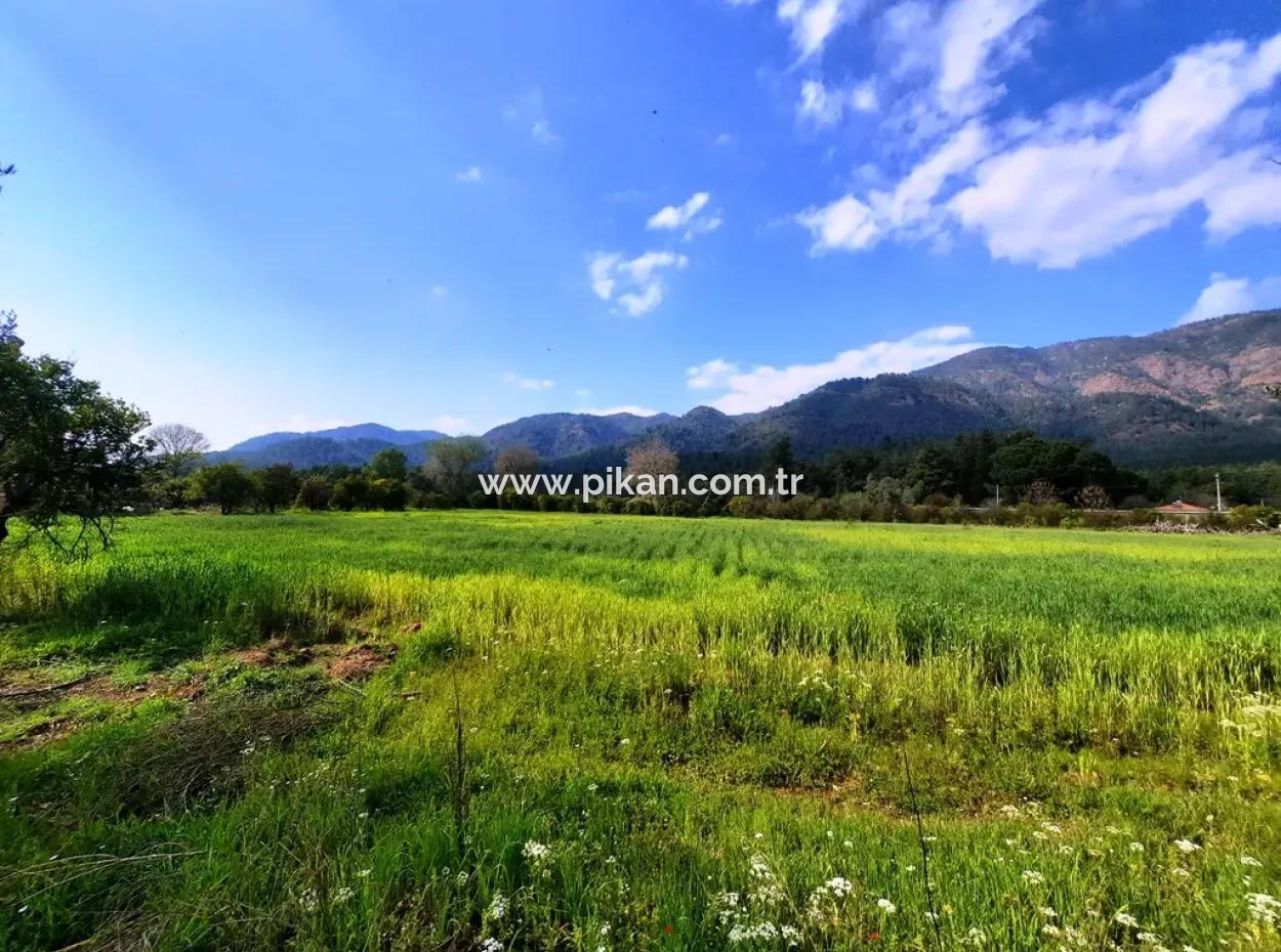Köyceğiz Yangida Main Road Zero Investment Suitable Bargain Land For Sale