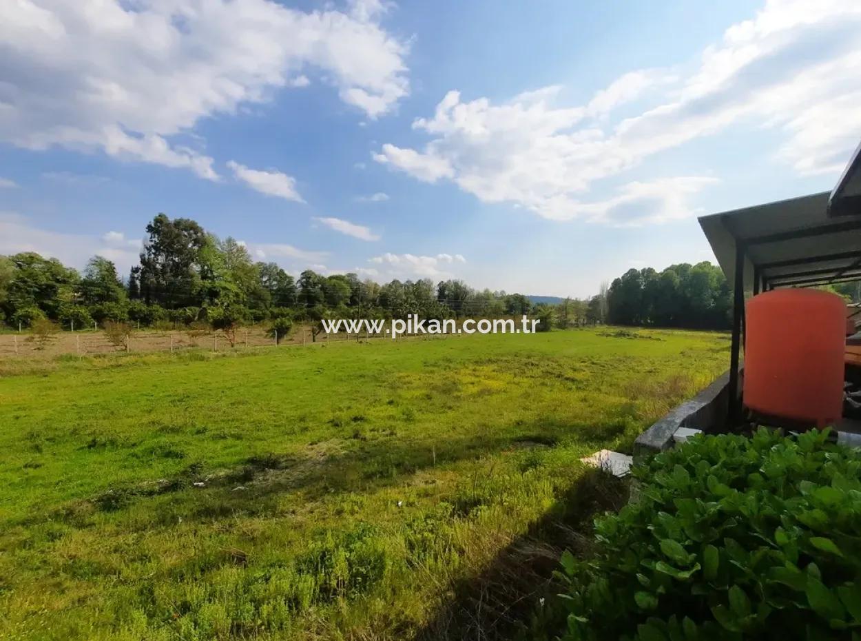 Köyceğiz Yangida Main Road Zero Investment Suitable Bargain Land For Sale