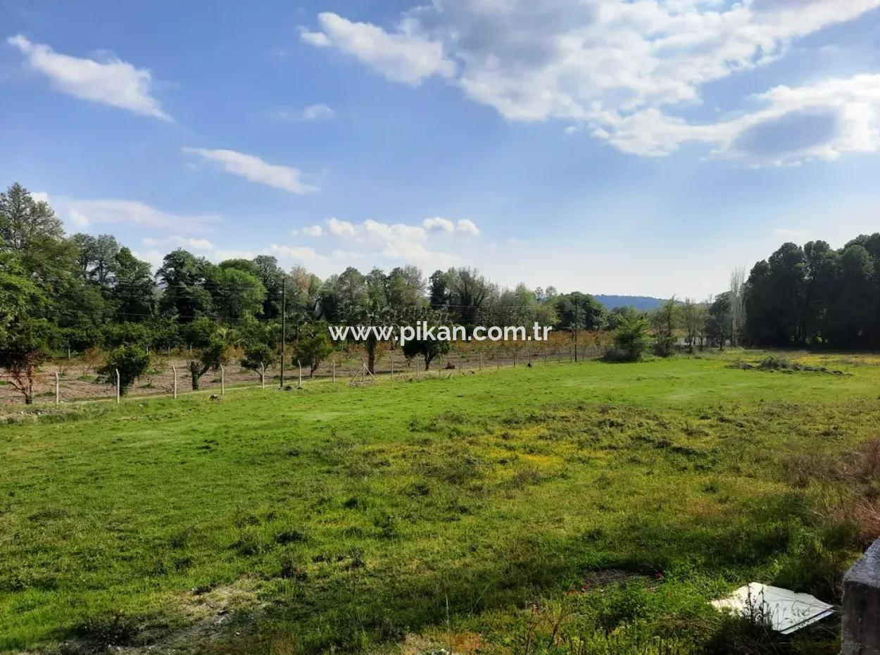 Köyceğiz Yangida Main Road Zero Investment Suitable Bargain Land For Sale