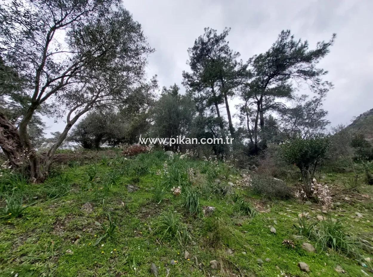 Ortaca Gökbelde Detached Nature In 626M2 Land For Sale