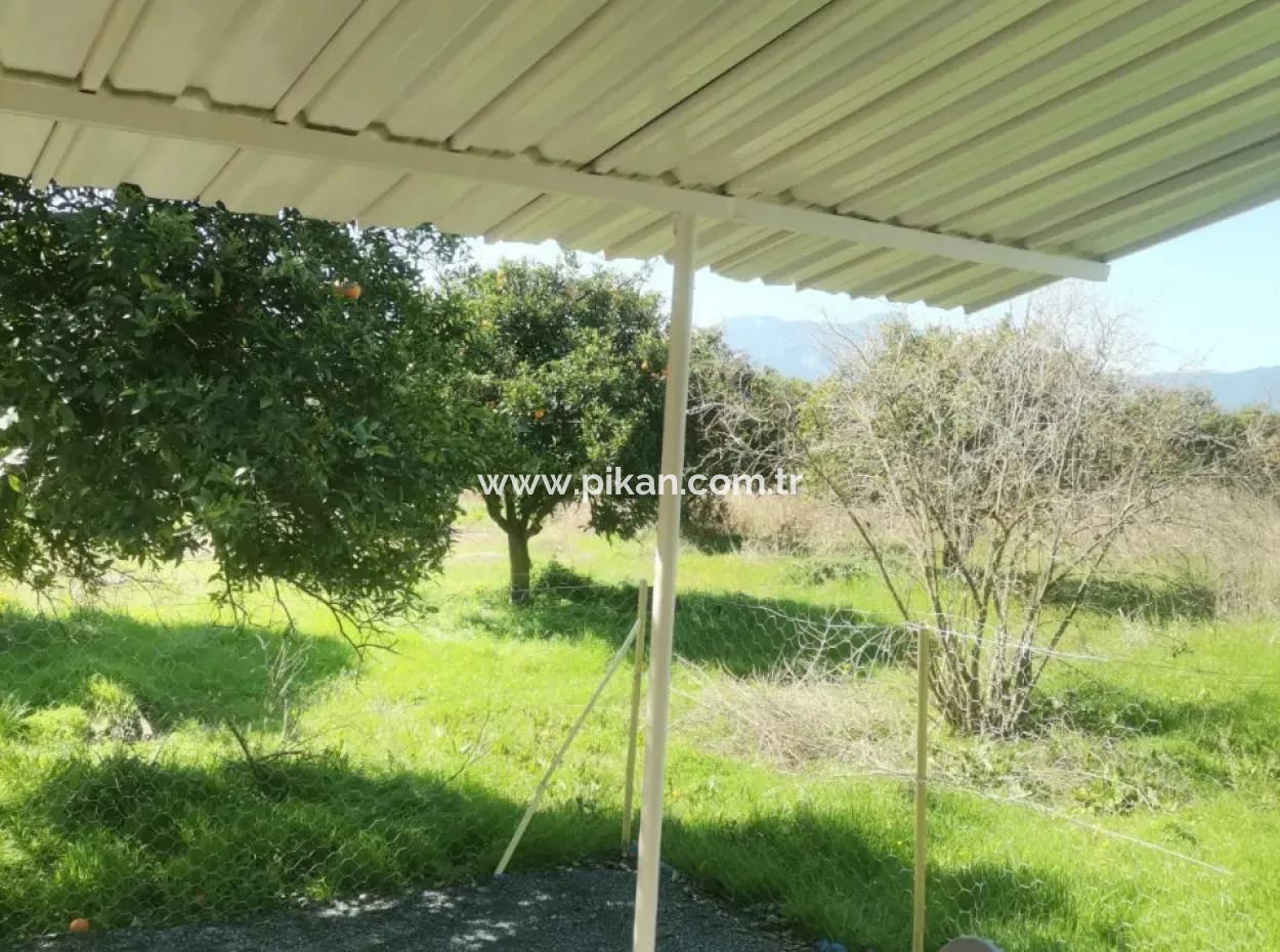 Ortaca Tepearası Mah. 2 1 Garden Floor Apartment For Rent