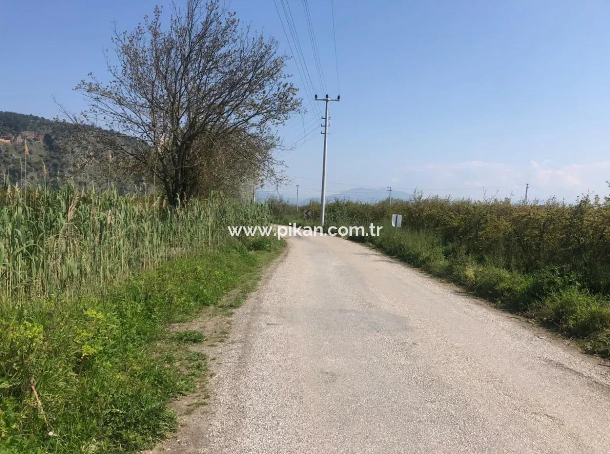 7989 M2 Pomegranate Field For Sale In Ortaca Mergenlide