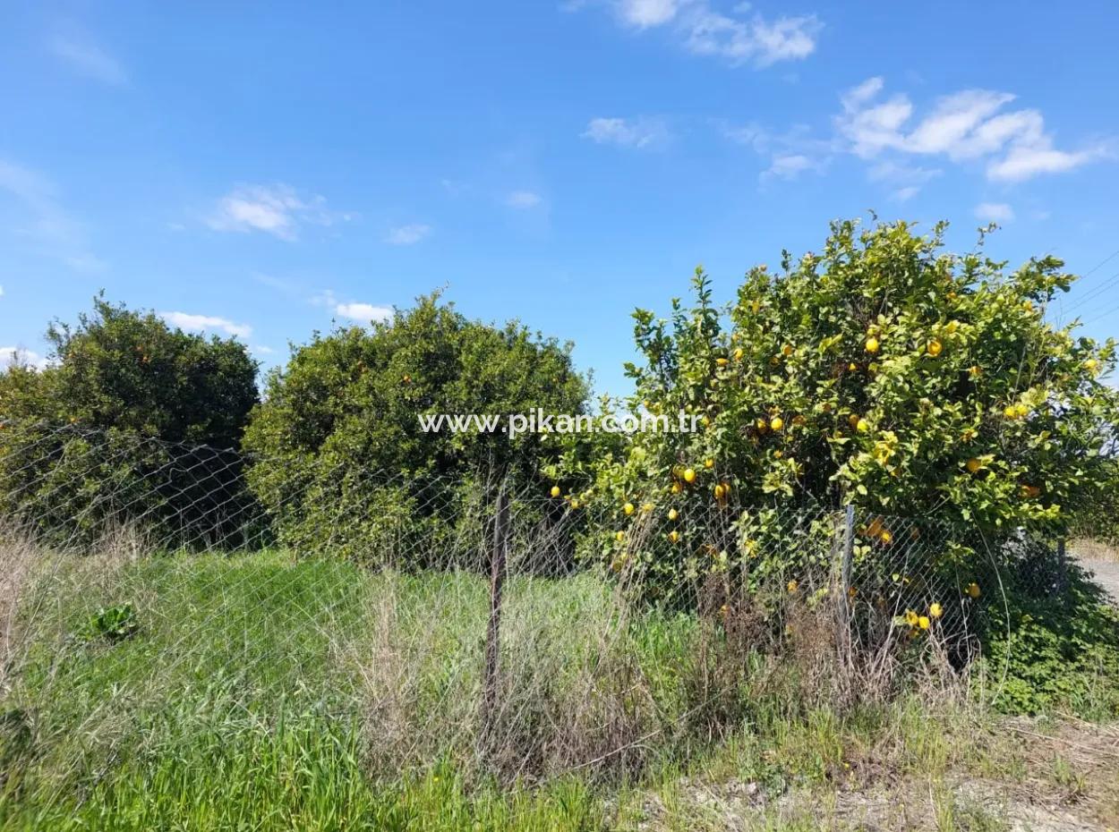 1.500 M² Detached Land With Mountain And Nature View For Sale In Ortaca Marmarlı