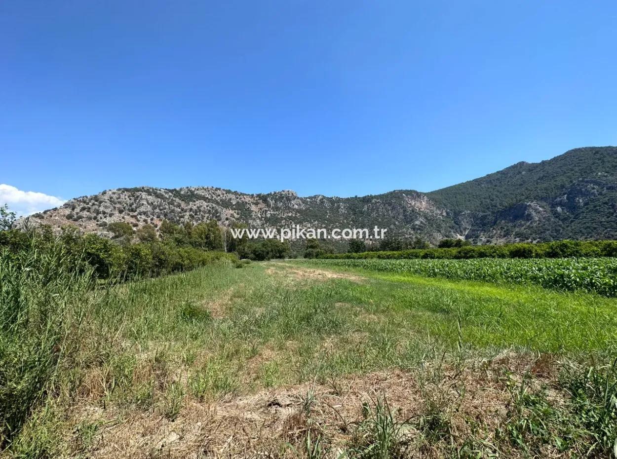 970 M2 Rızai Taksimli Share For Sale In Dalyan