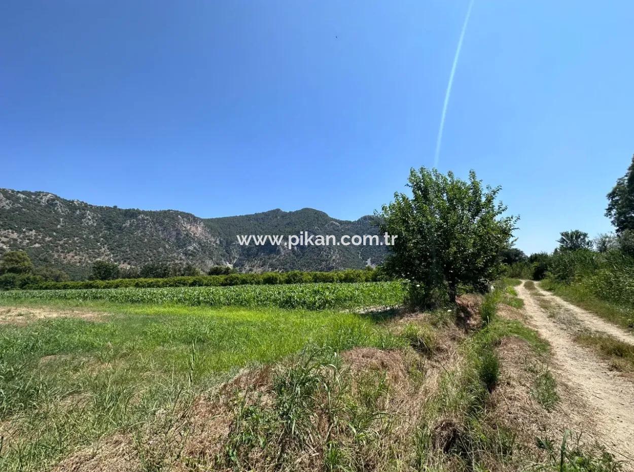 970 M2 Rızai Taksimli Share For Sale In Dalyan
