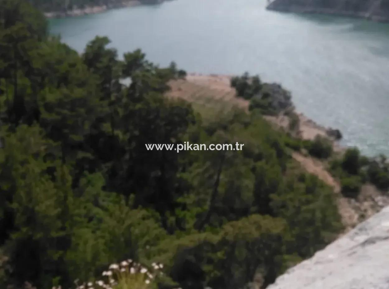 Farmland For Sale In Dalaman Bozbel Also With Views Of The Lake Dam