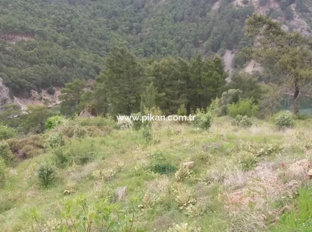 Farmland For Sale In Dalaman Bozbel Also With Views Of The Lake Dam