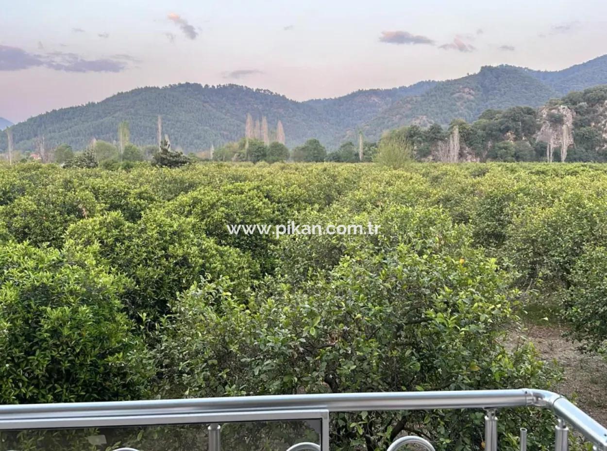 3 1 Apartment For Rent In Ortaca Okçular