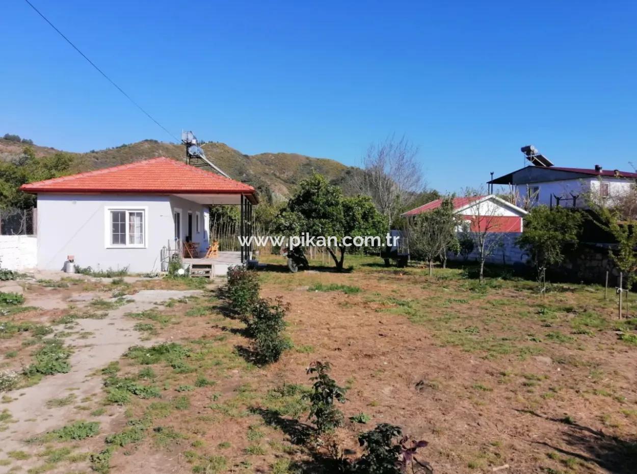 1 1 Detached Furnished House In 400M2 Garden In The Center Of Fevziye Neighborhood Seasonal Rental