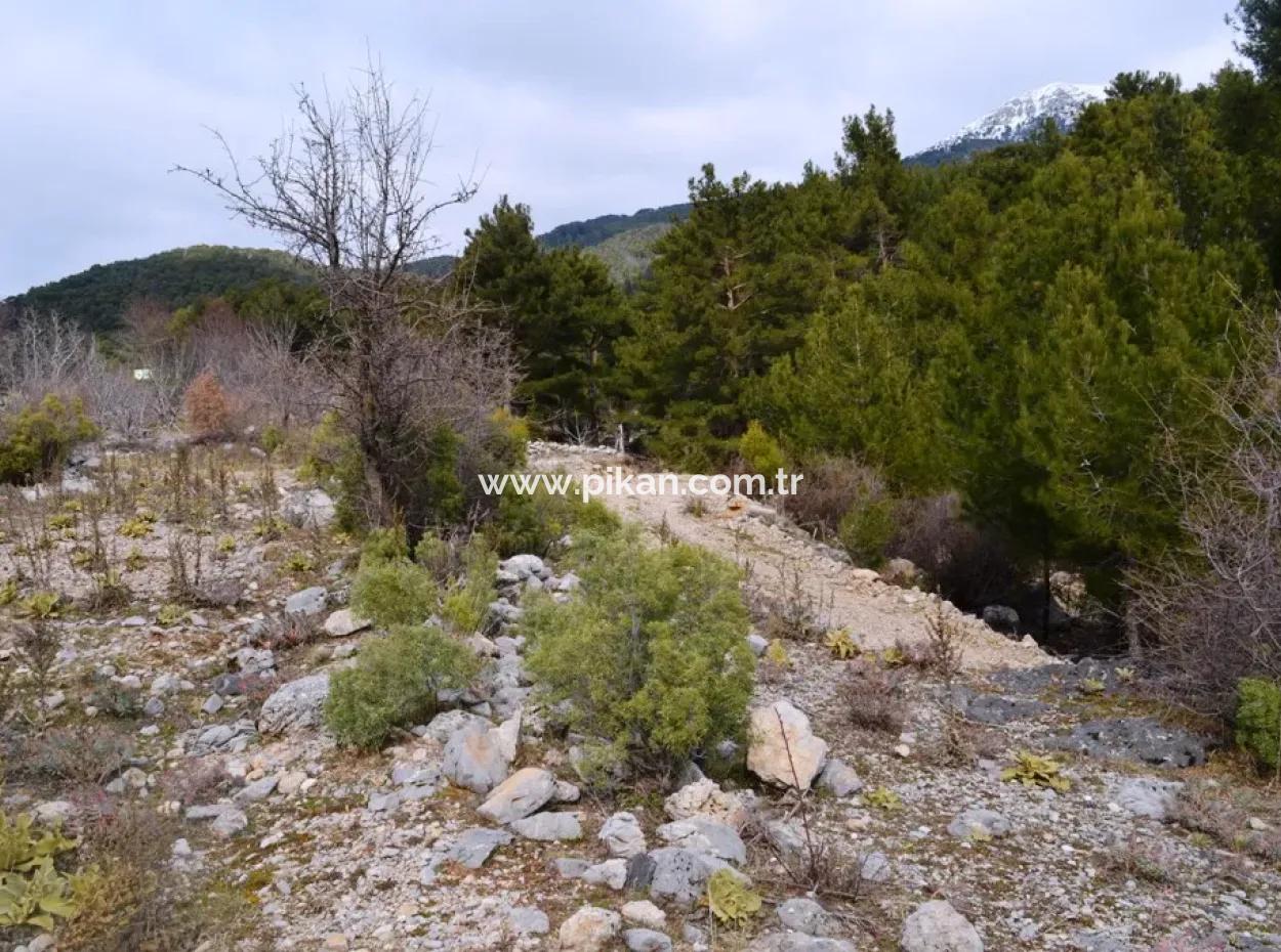 Fethiye, Nifte, 2 000 M2, Detached For Sale, Bargain Land