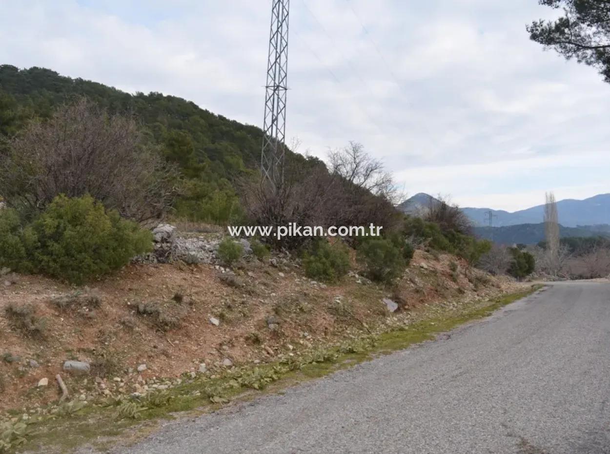Fethiye, Nifte, 2 000 M2, Detached For Sale, Bargain Land