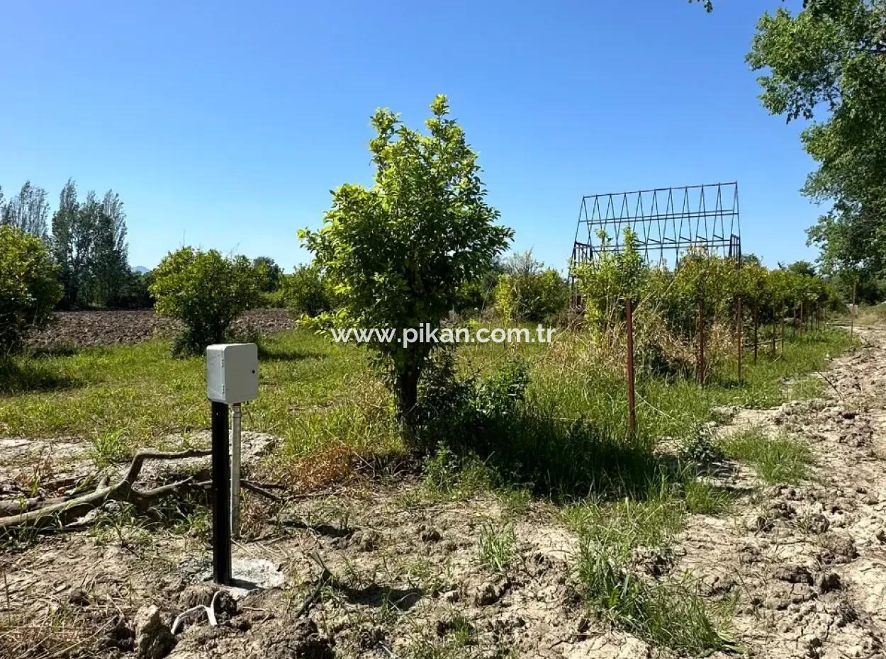 Archers Also For Sale 500 M2