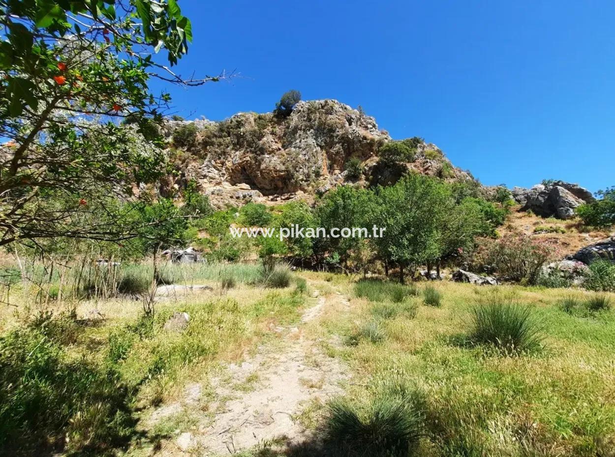 Muğla Ortaca Dalyanda Canal Front 6 500 M2 Land With Title Deed For Sale