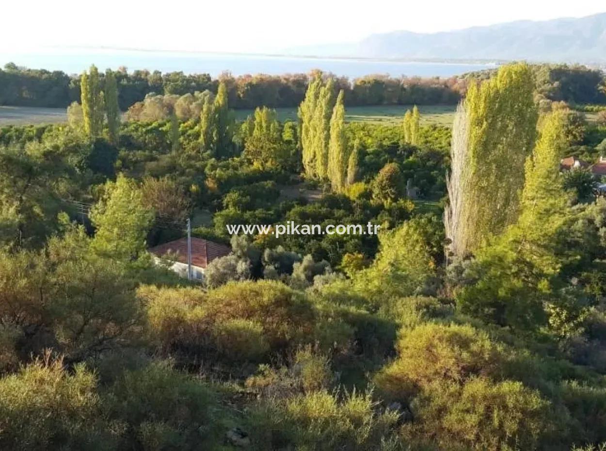 Garden For Sale In Köyceğiz Village