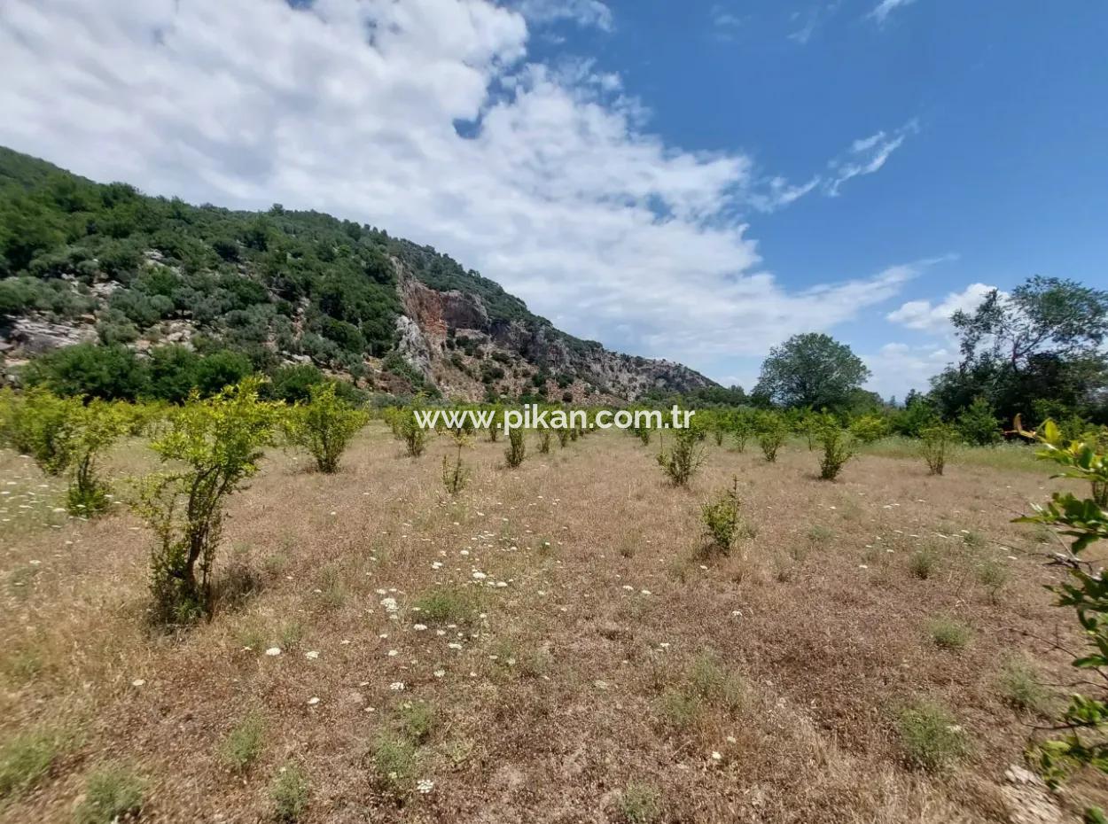 Köyceğiz Çandırda Detached Title Deed 33.800 M2 Field For Sale