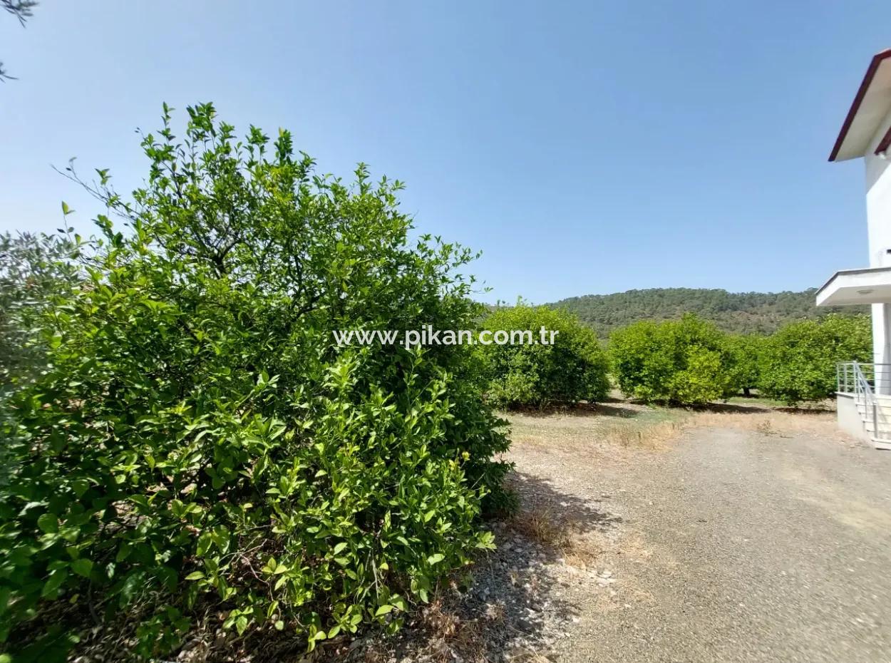 Muğla Ortaca Ekşiliyurtta Residential Zoned Detached 2 000M2 Land For Sale