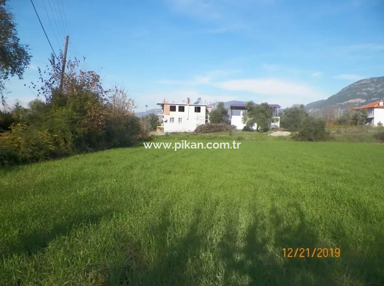 Land For Sale In Bargain Detached Zeytinalani
