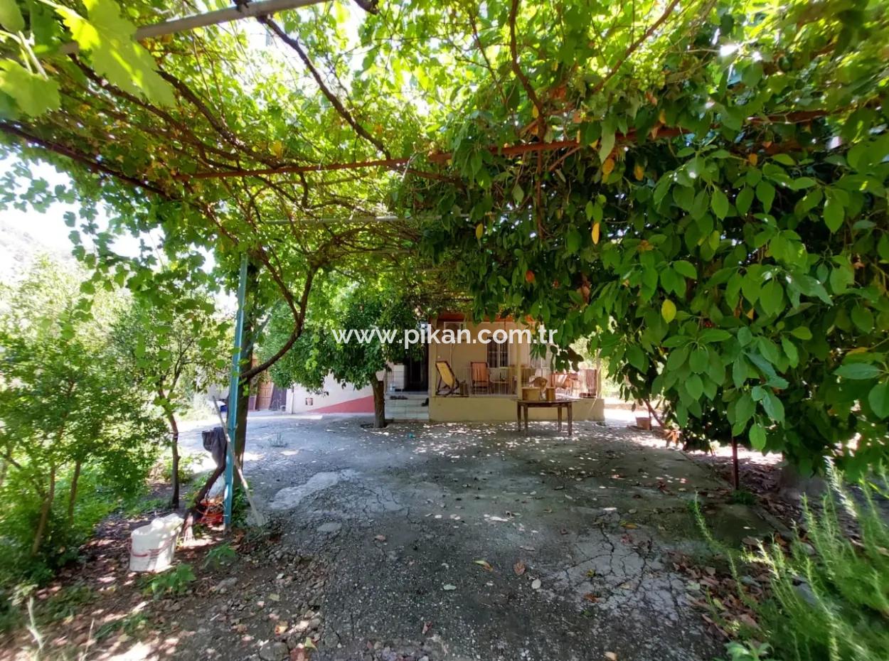 Single-Storey Detached 2 1 Village House For Rent On 4 600 M2 Land In Muğla Ortaca Ekşiliyurt