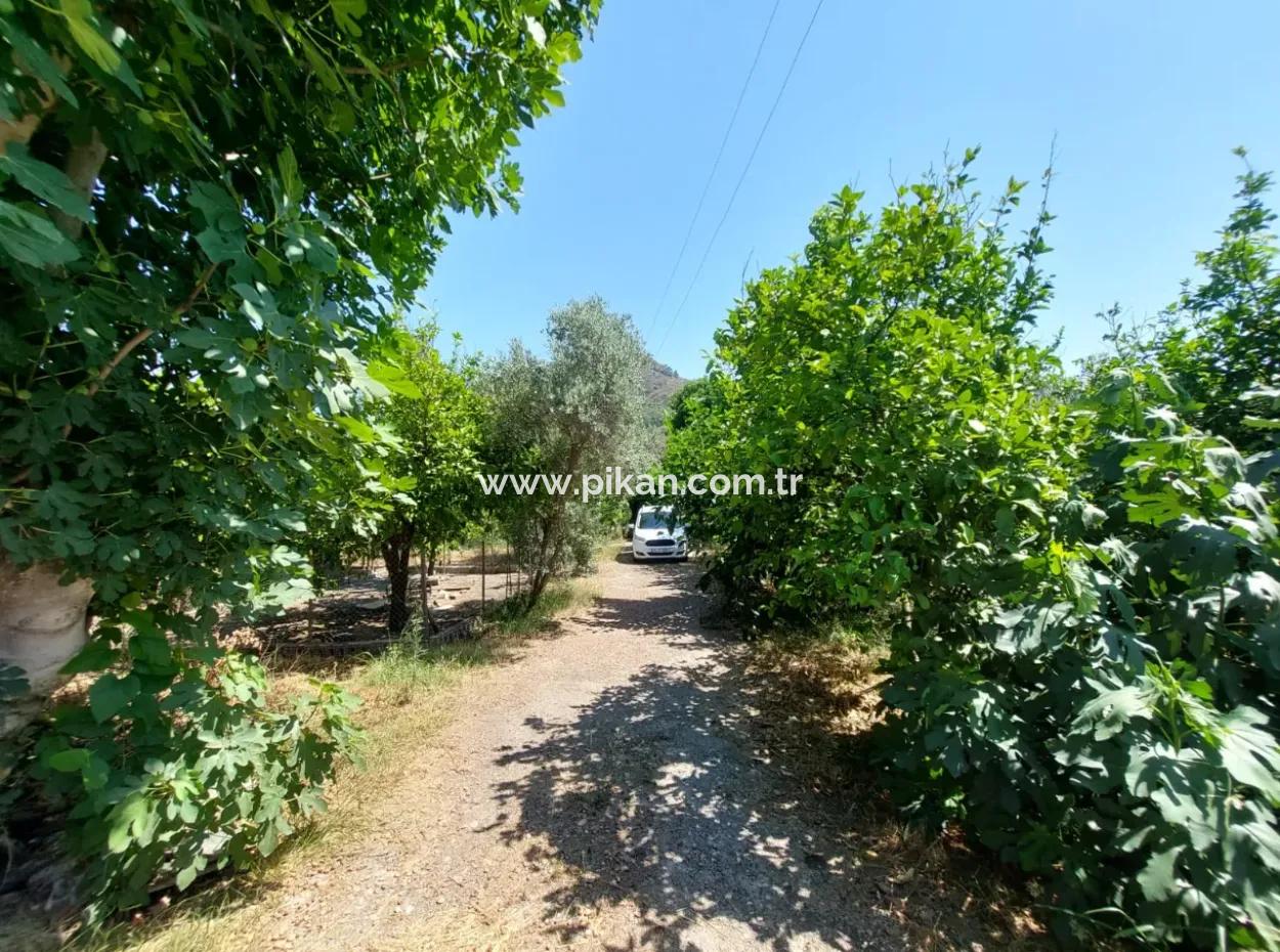 Single-Storey Detached 2 1 Village House For Rent On 4 600 M2 Land In Muğla Ortaca Ekşiliyurt