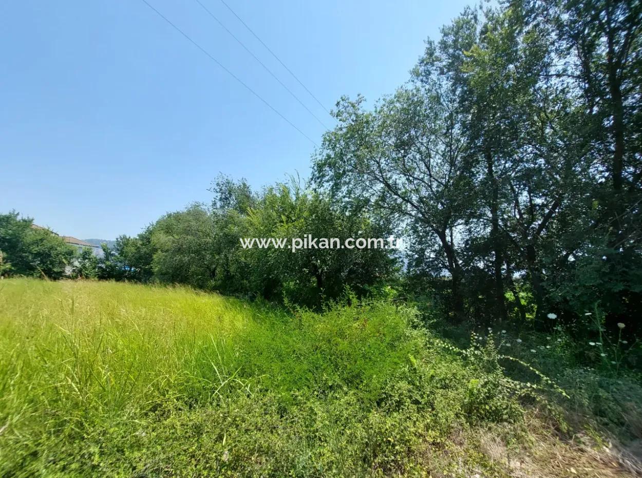 1.563 M² Zoned Land Suitable For Hotel And Residential Construction In Dalyan, Muğla For Sale