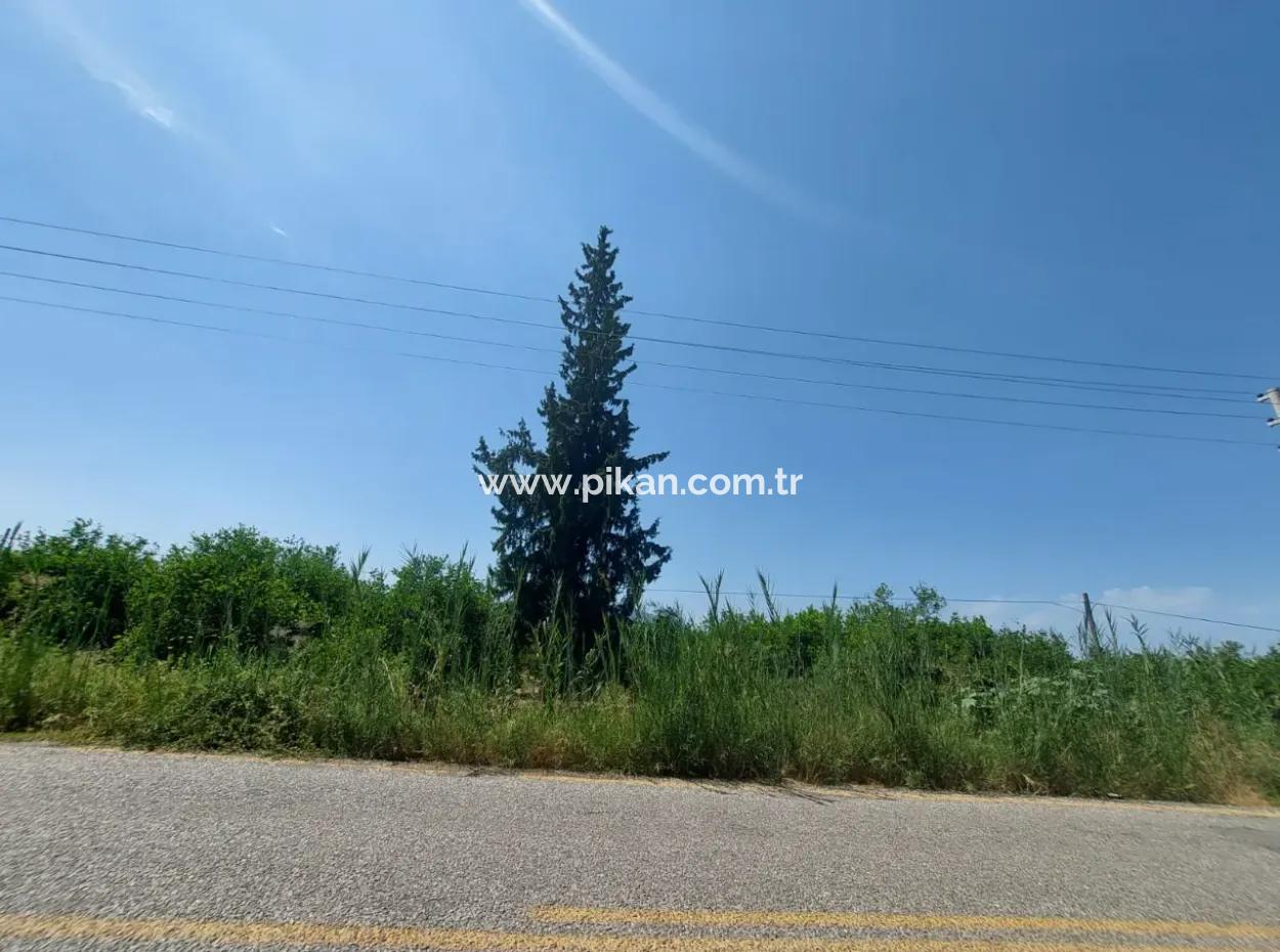 Muğla Ortaca Ekşiliyurtta Roadfront 7.000 M2 Lemon Garden For Sale