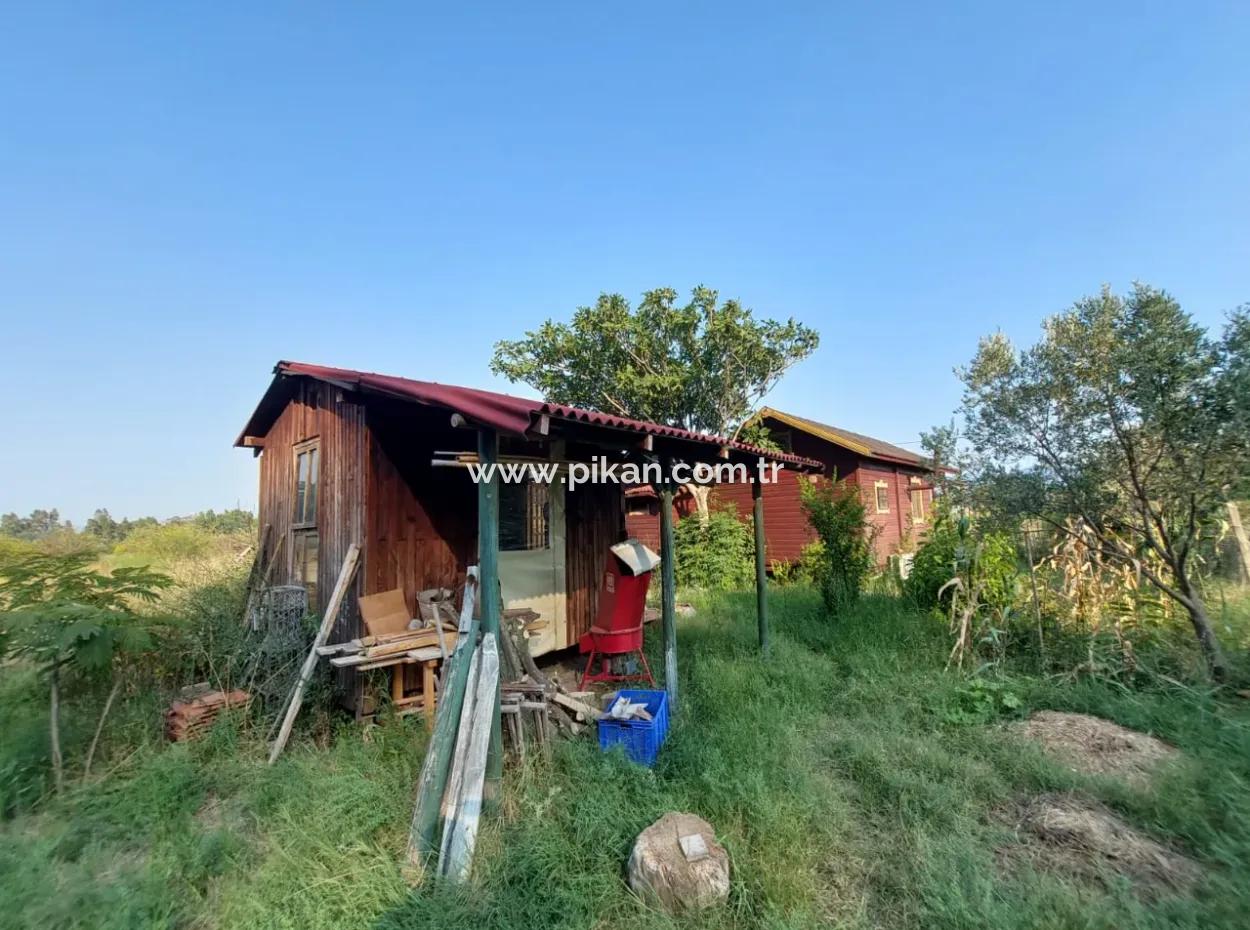 Single Storey House For Sale On 15 000 M2 Detached Land Close To Dalyan Canal In Köyceğiz Çandırda