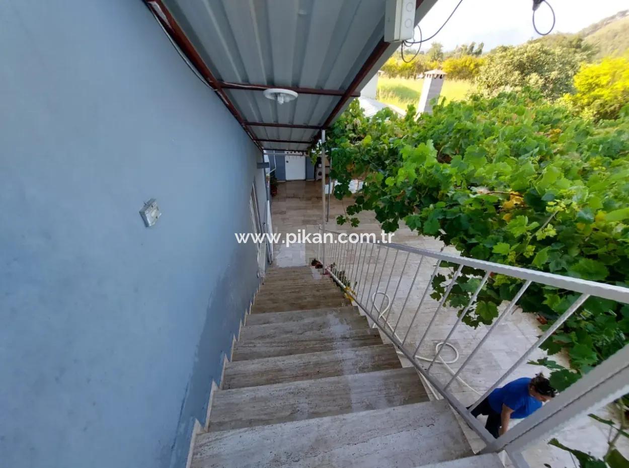 3 1 Unfurnished Large Apartment In The Heart Of Nature In Muğla Dalyan Eskiköy Annual Rent