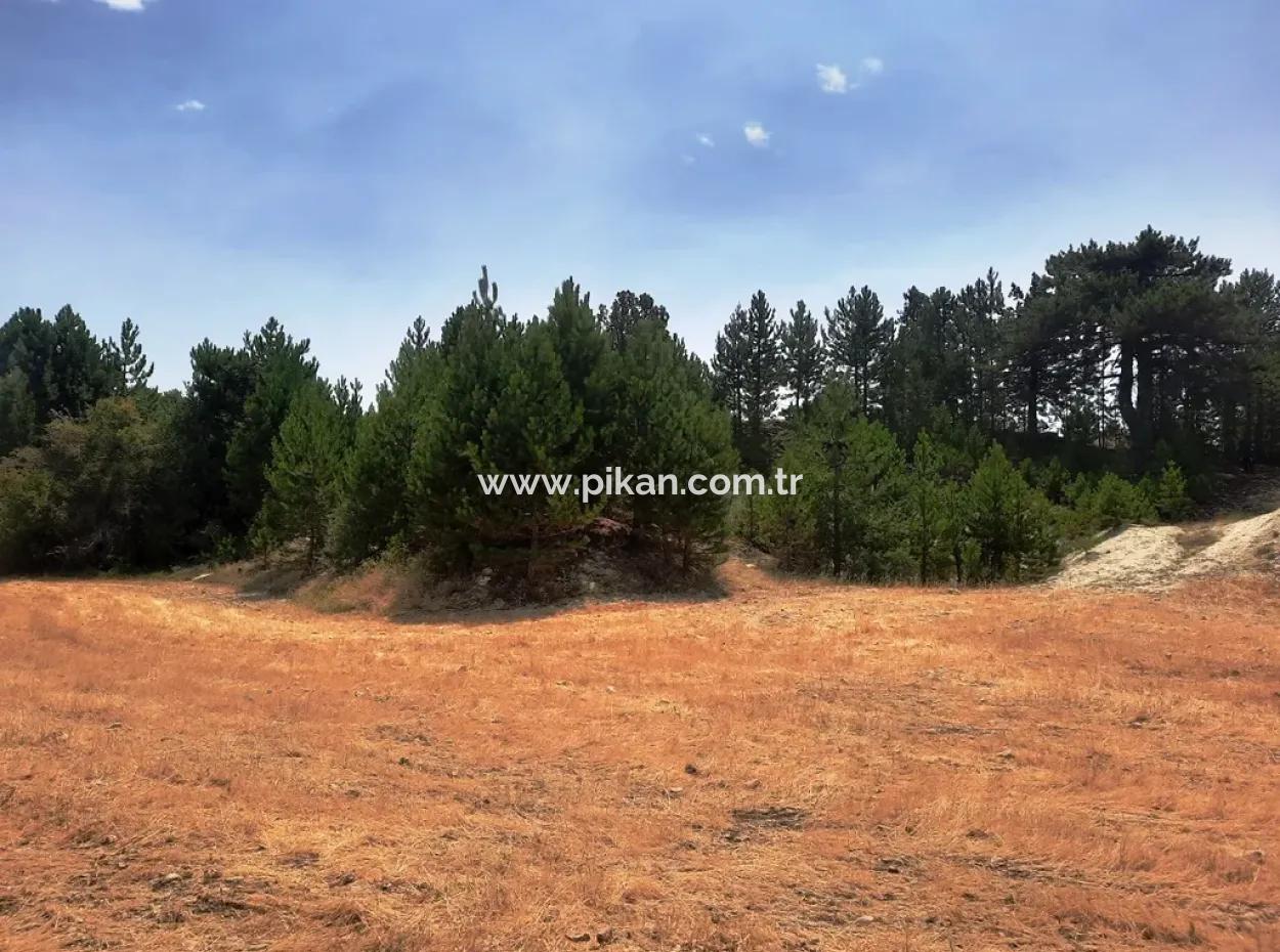 3 Parcels Of Land For Sale In Çameli Gökçeyaka
