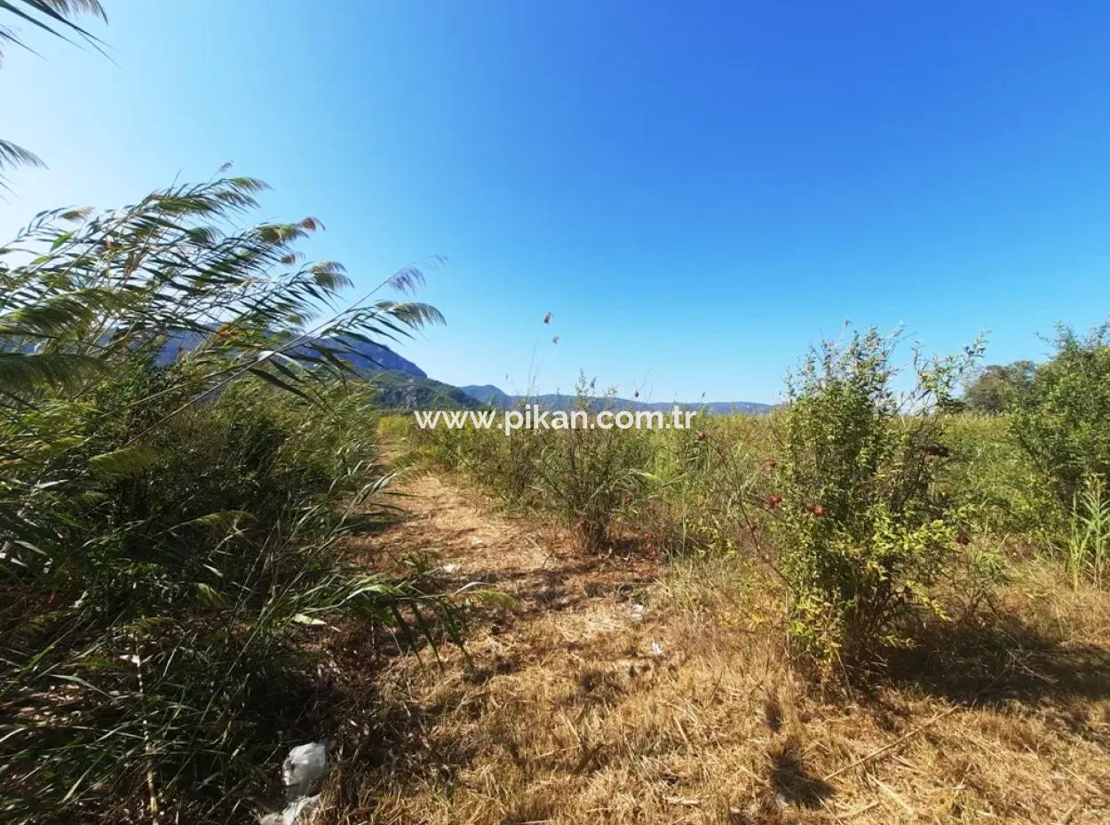 26.200 M2 Village Pasture Zero Bargain Land For Sale In Dalyan