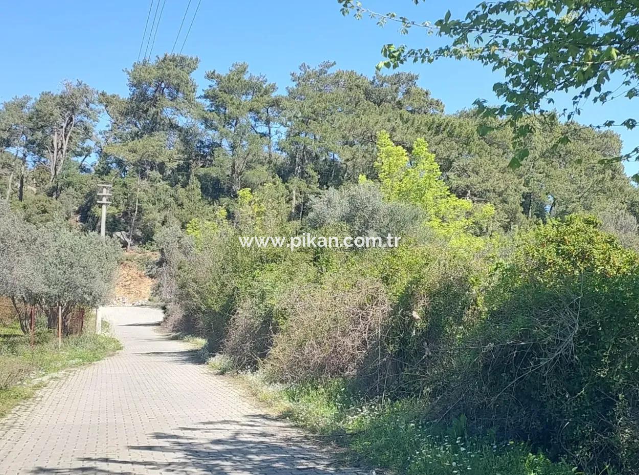 Village House With Lake View And Olive Grove Land For Sale In Köyceğiz Çandır, Muğla