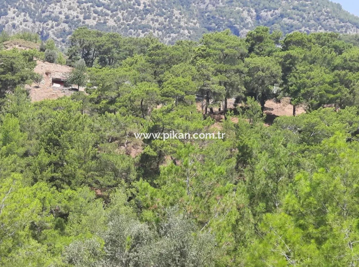 Dalyan Gökbelde Lake And Sea View Detached Title Deed For Sale 82 M2 Land For Sale