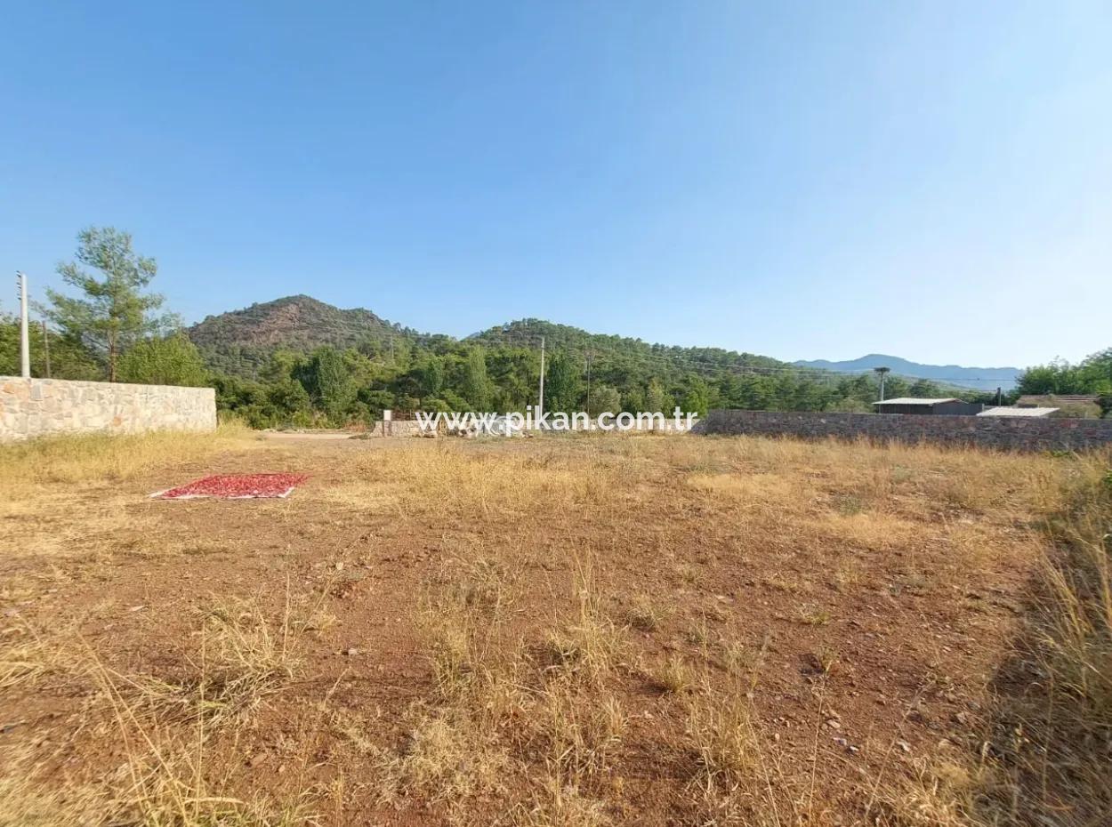 Detached 1 000 M2 Construction License Ready Land For Sale In Köyceğiz Beyobasi