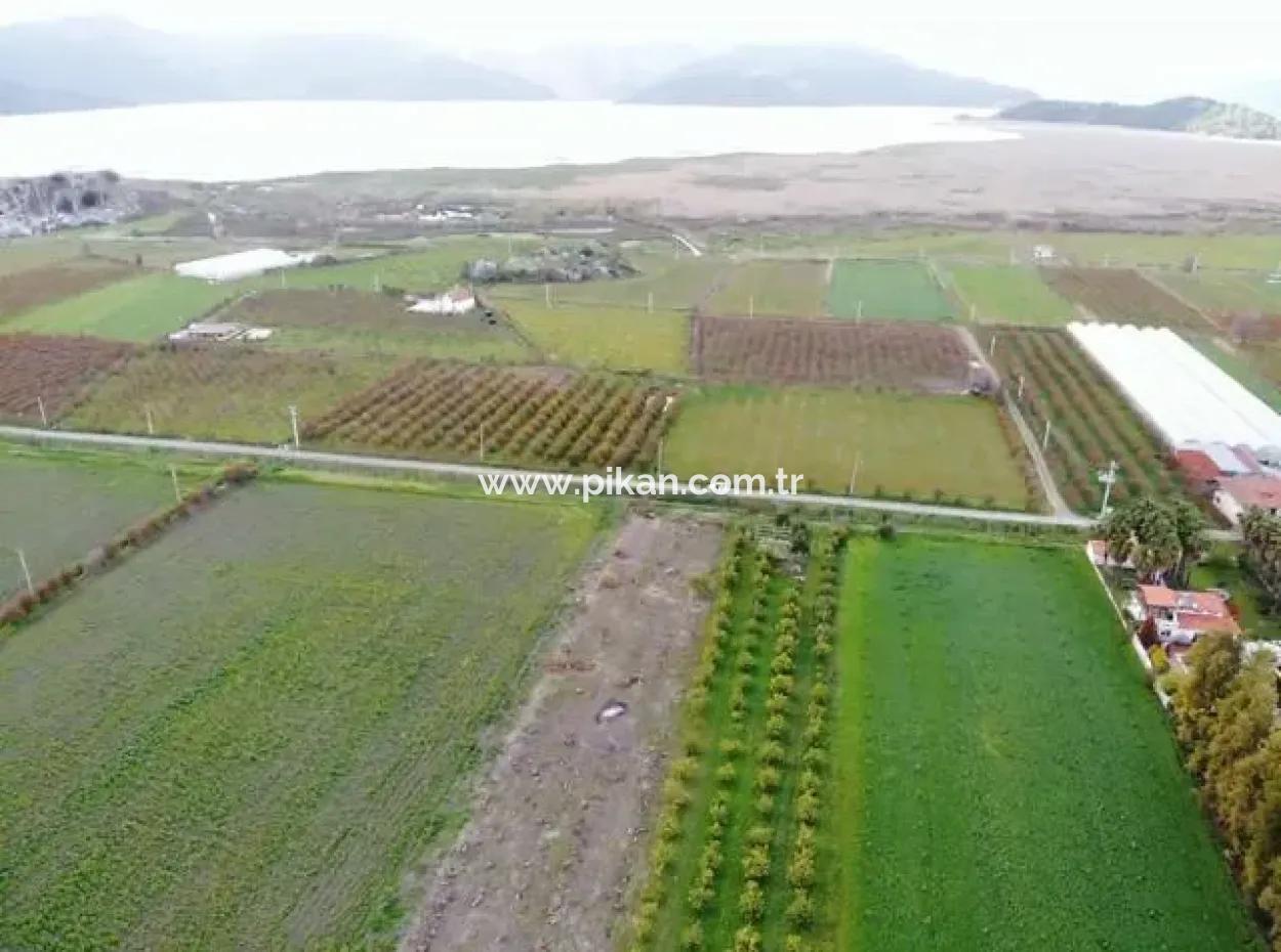 4100M2 Field For Sale Close To Lake In Dalyanda, Muğla