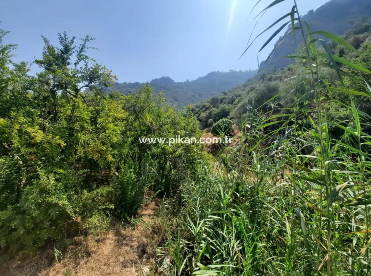 Muğla Dalyanda Mountain Zero, Waterside 10 500 M2 Pomegranate Garden For Sale