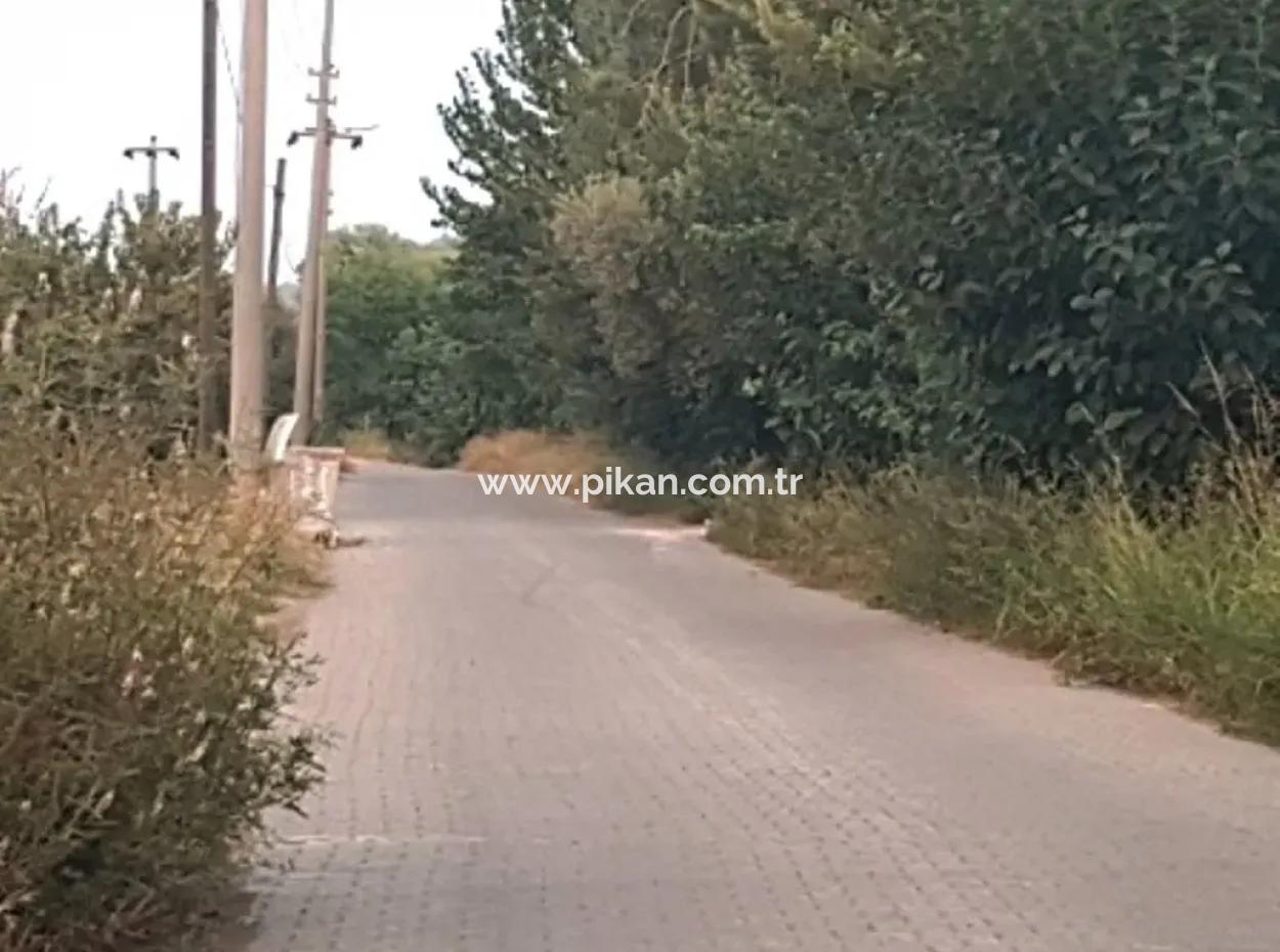 Archers Are Also For Sale, Investment Land Suitable For