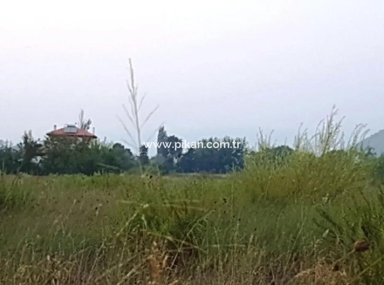 Archers Are Also For Sale, Investment Land Suitable For