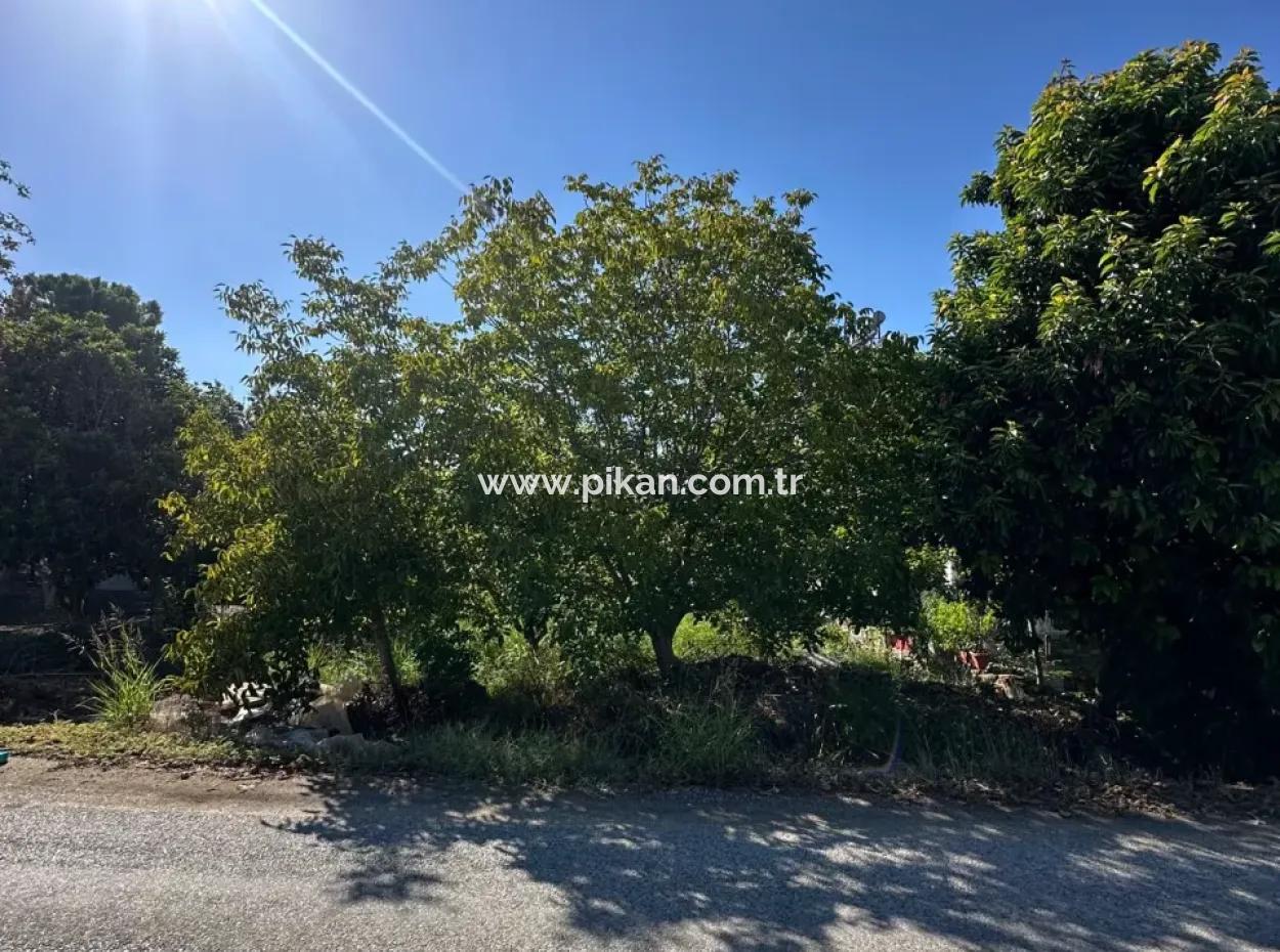1129 M2 Zoned Land For Sale In Ortaca Dalaklı