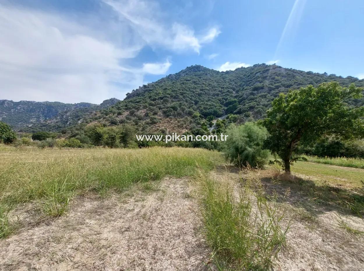 Mountainfront Fertile 1.680 M2 Land For Sale In Dalyan, Muğla