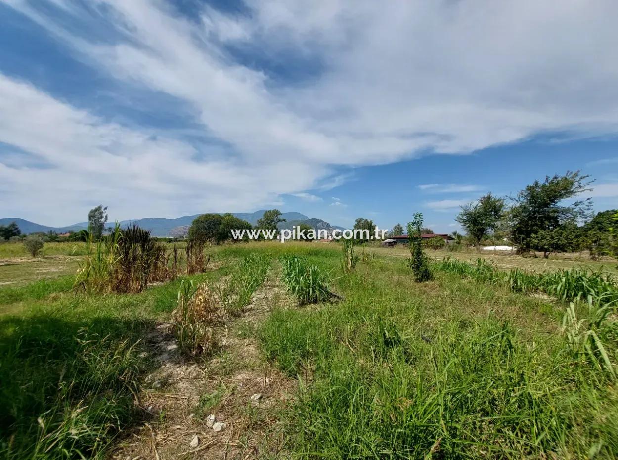 Mountainfront Fertile 1.680 M2 Land For Sale In Dalyan, Muğla
