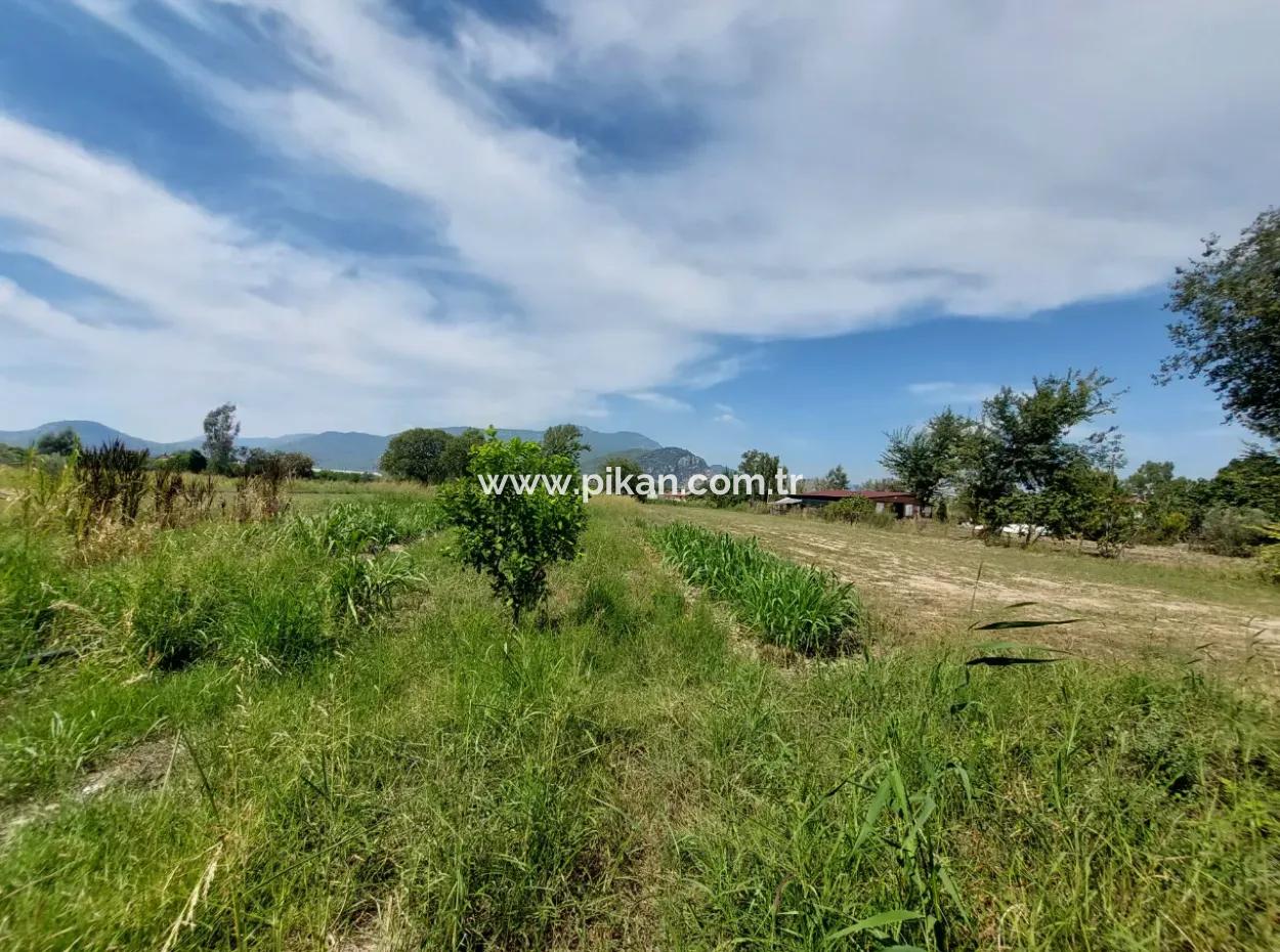 Mountainfront Fertile 1.680 M2 Land For Sale In Dalyan, Muğla