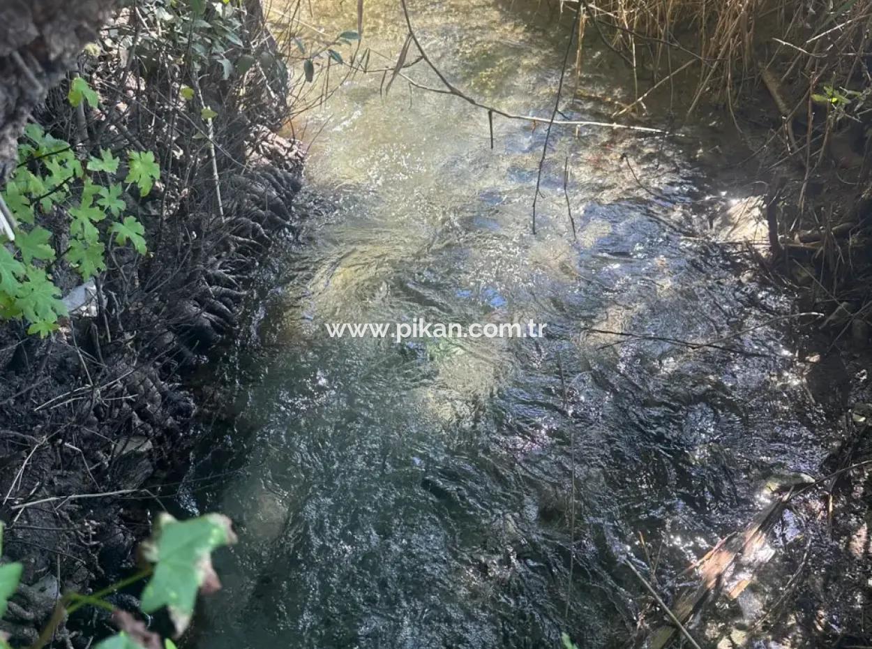 3073 M2 Field For Rent In Dalyan Marmarlı