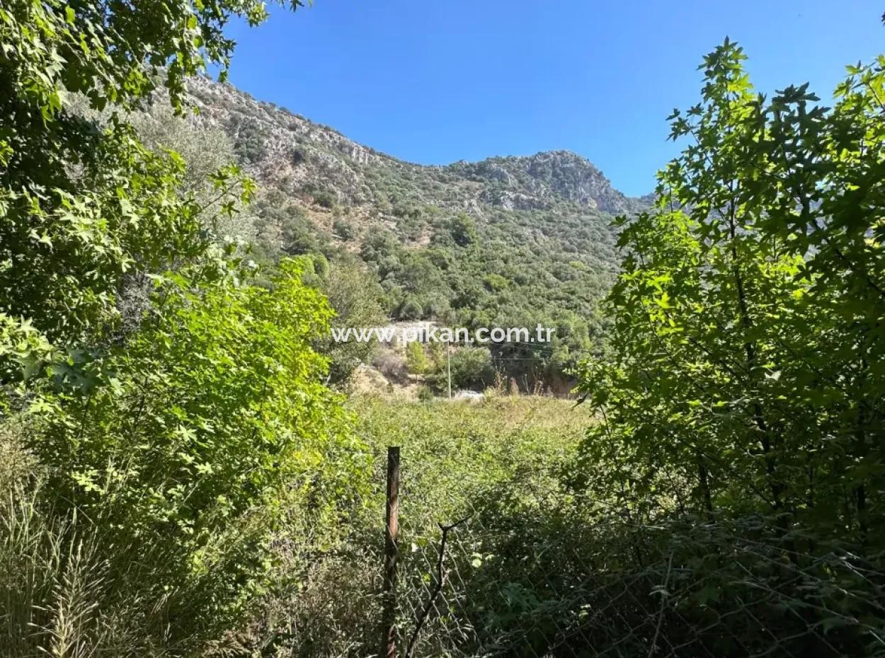 3073 M2 Field For Rent In Dalyan Marmarlı