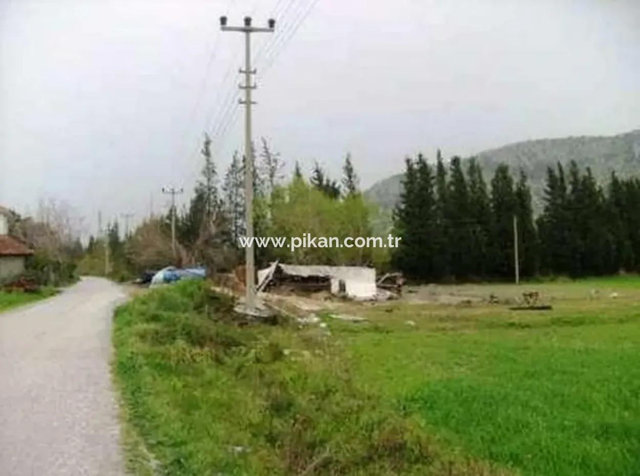 Archers Are Also For Sale, Fertile Land Suitable For Investment