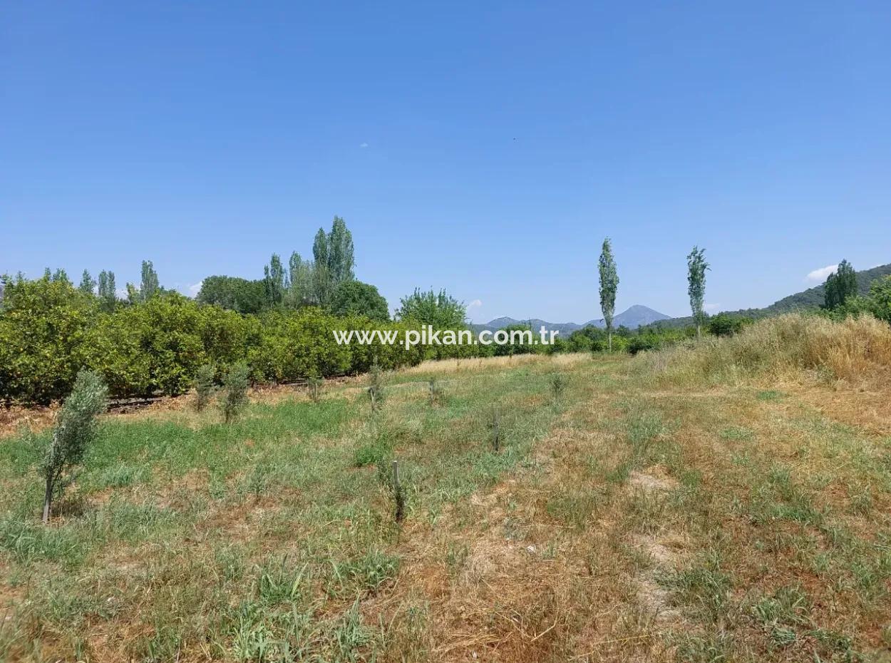 550M2 Share Land For Sale In The Built-Up Area Of The Village In Ortaca Kemaliye
