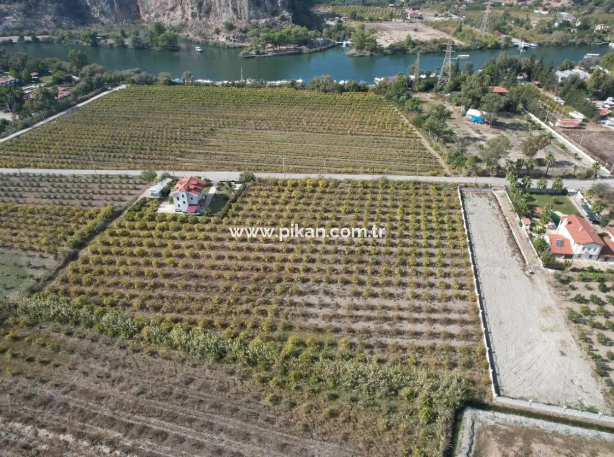Muğla Dalyanda Canal 2Nd Parcel Detached 5.000 M2, 250 M2 Land With Construction Right For Sale
