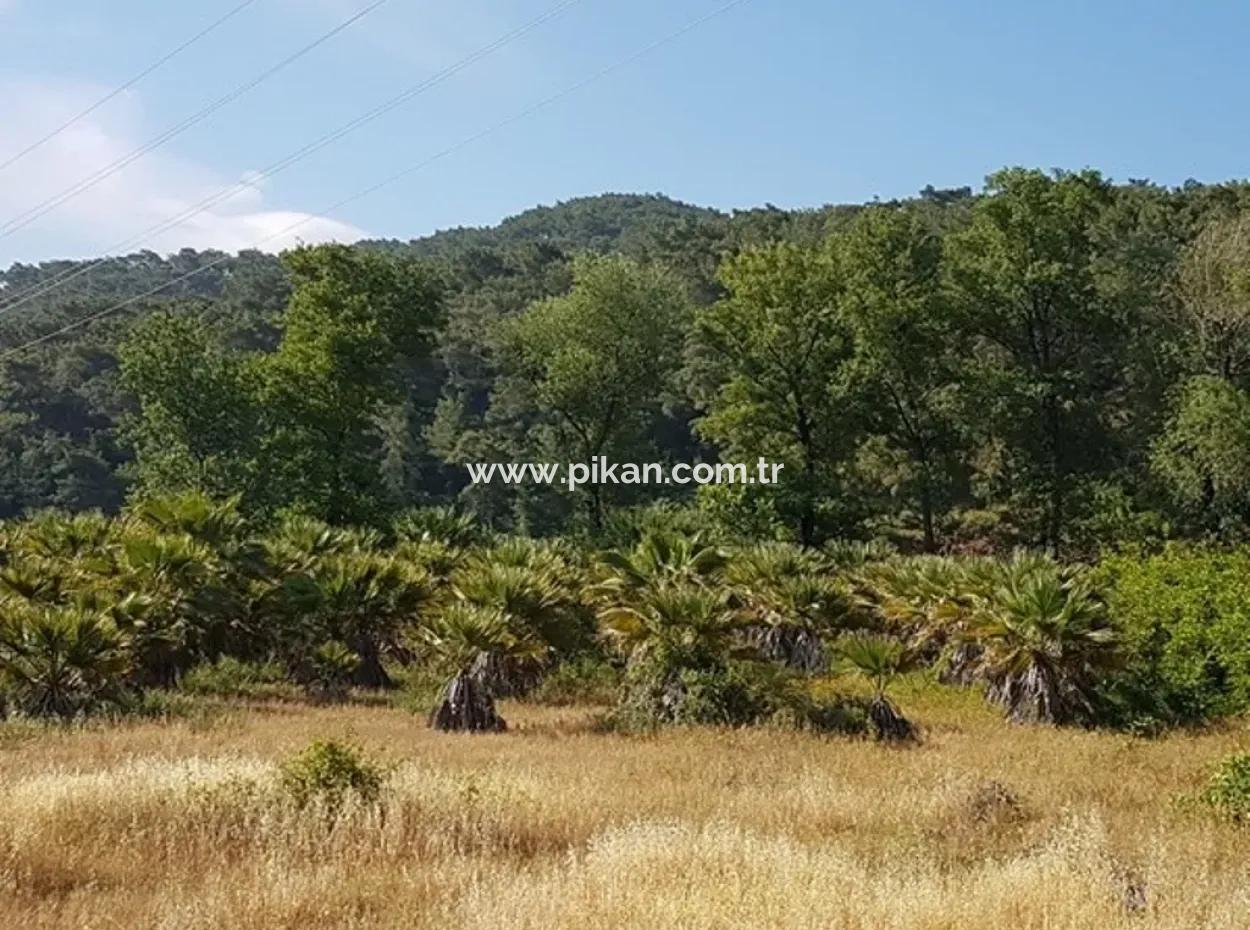 Kemaliye Zero From The Main Road Land For Sale